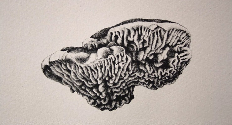 CATHERINE MAGNAN - I AM A TREE